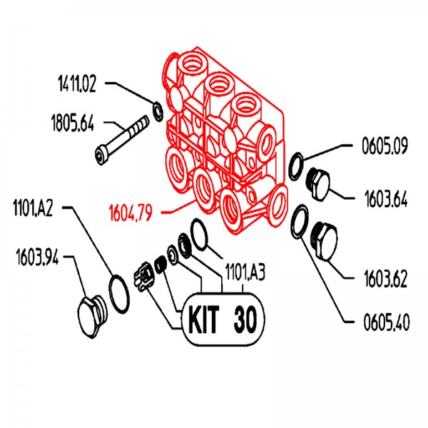 Rice Hydro UD04-1604.79 Manifold